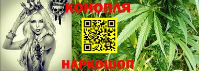 прущие грибы Краснознаменск