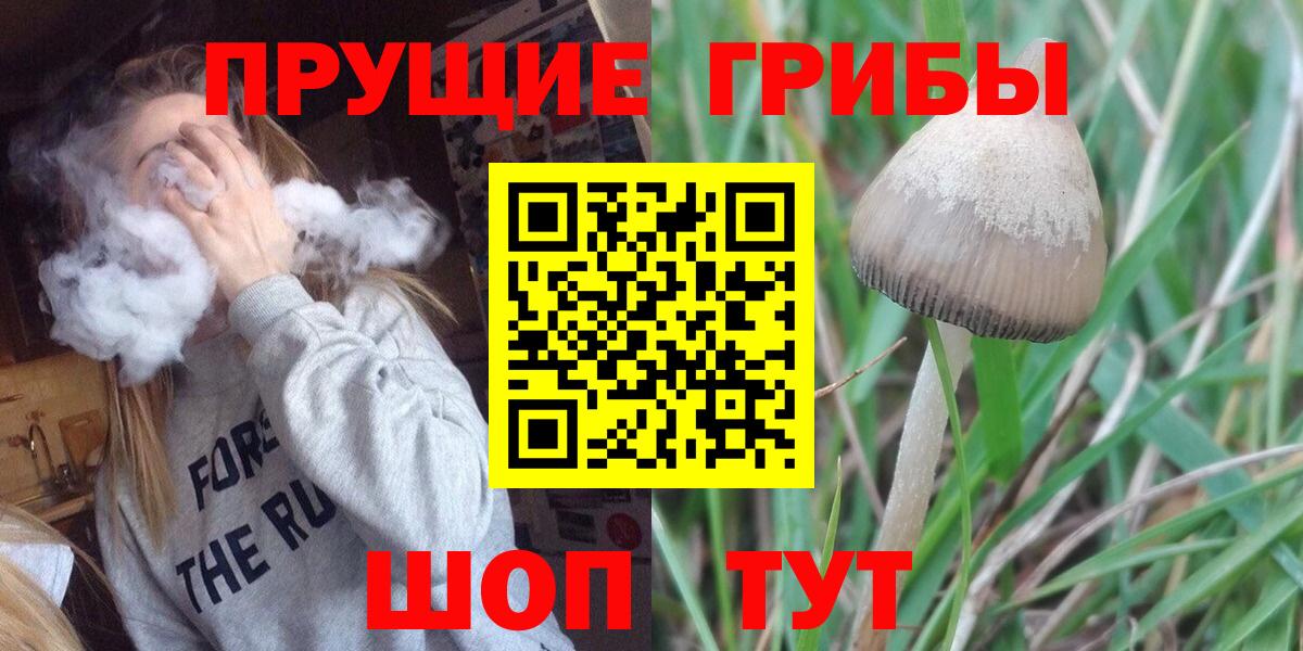 Каменск-Шахтинский  Псилоцибиновые грибы мухоморы  Вход с VPN 